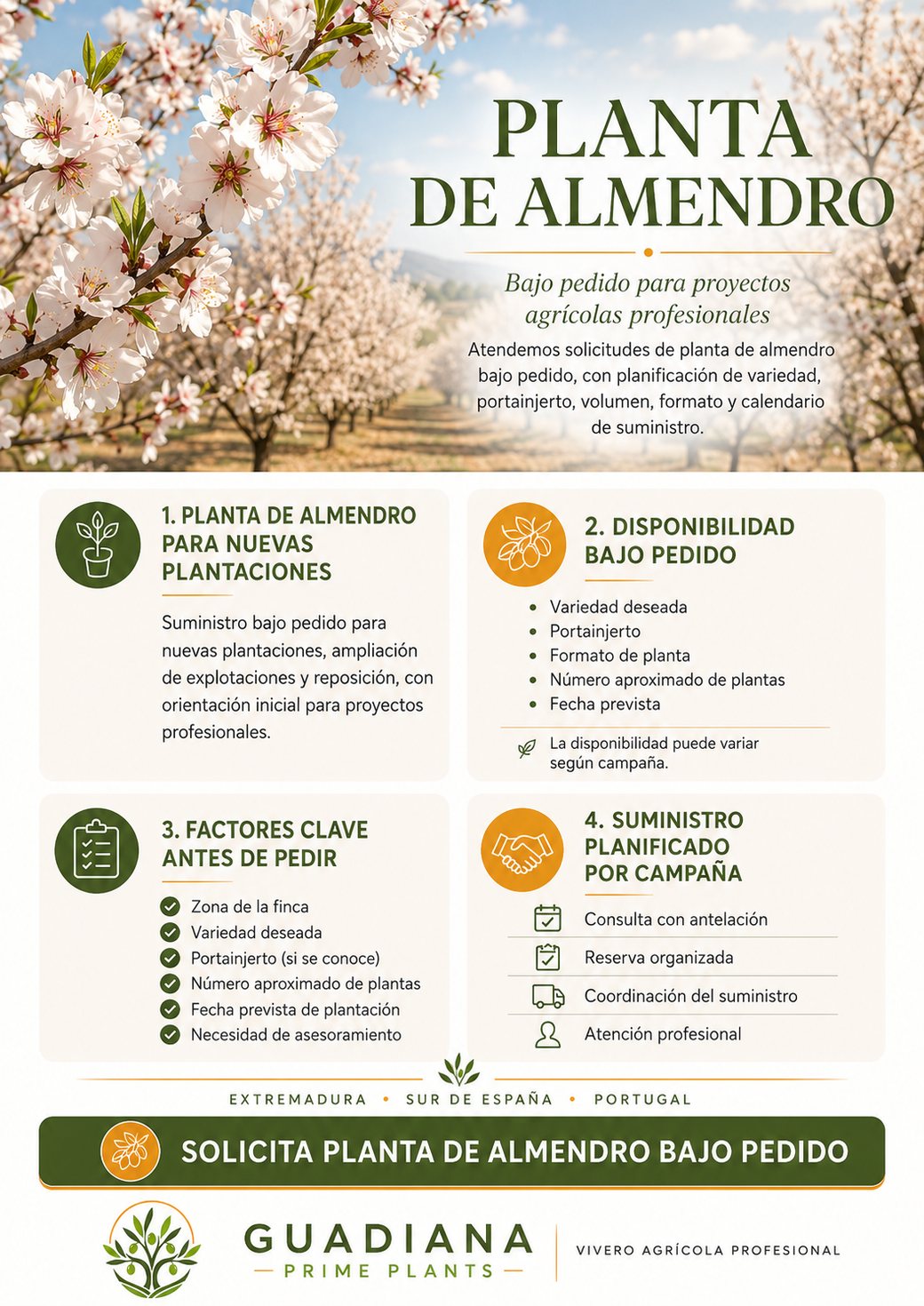 Infografía de planta de almendro bajo pedido de Guadiana Prime Plants