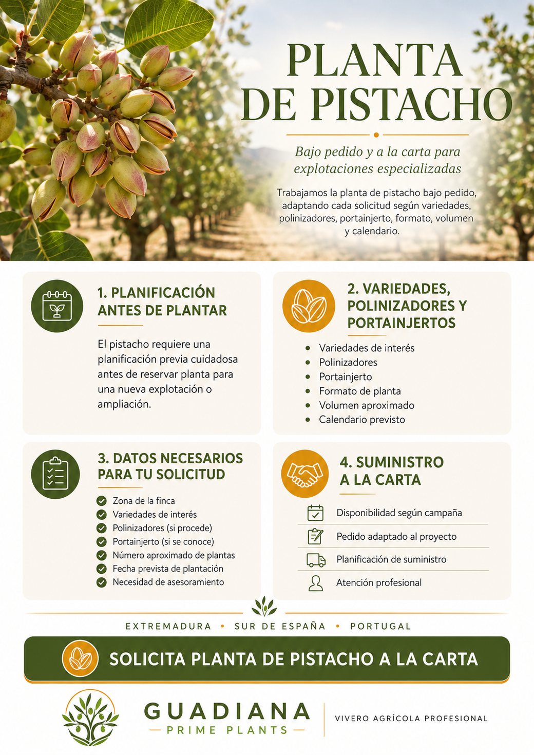 Infografía de planta de pistacho bajo pedido y a la carta de Guadiana Prime Plants