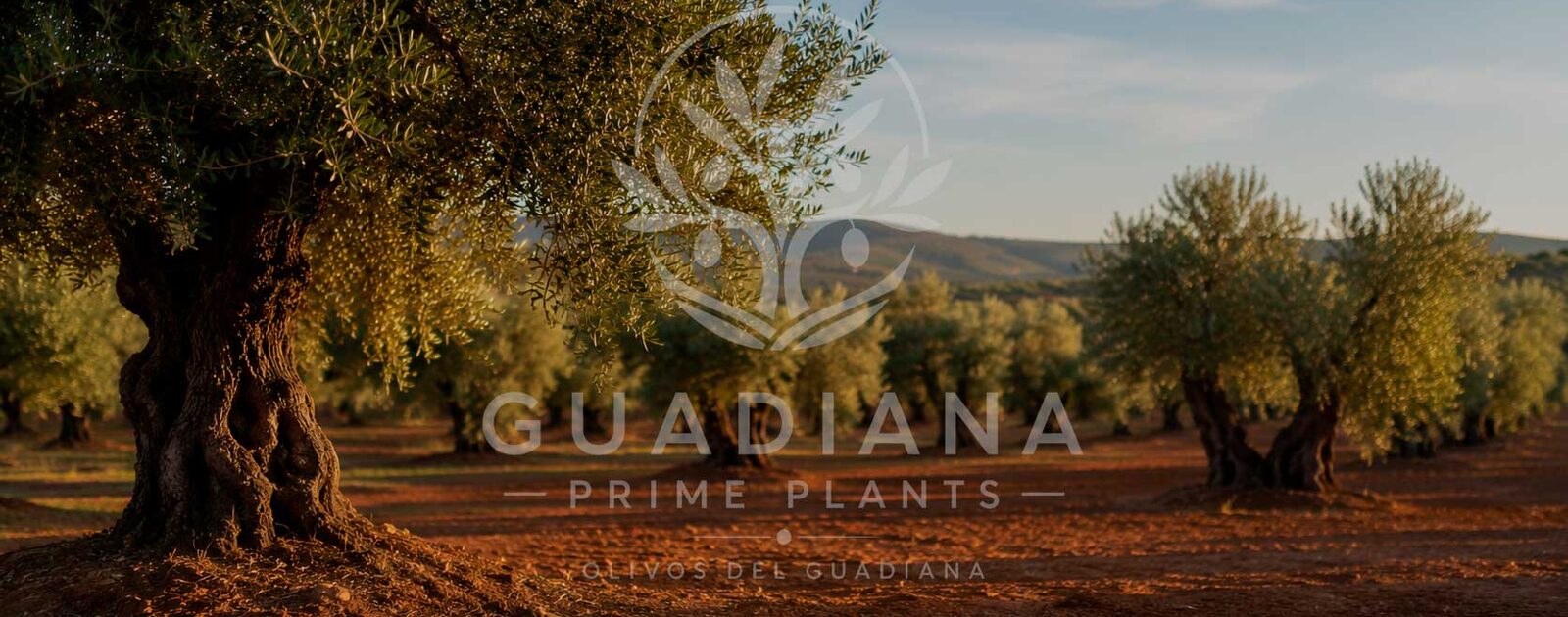Cultivos leñosos en explotación agrícola