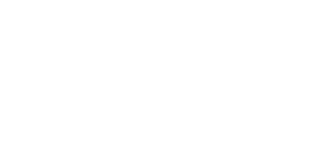 AP Guadiana